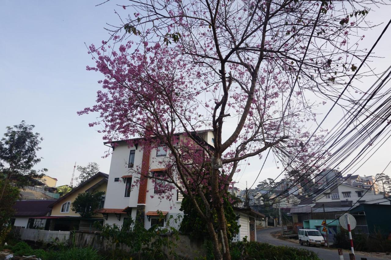 The 1954 House Vila Da Lat Exterior foto